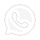 icon-whatsapp
